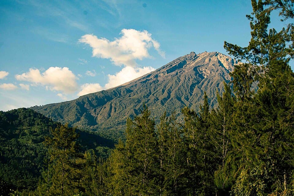 The ridged slopes of Mount Meru above green forest near Arusha